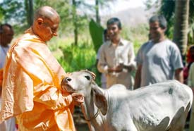 Radhanath-Swami on Plain Living High Thinking