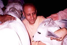 Radhanath Swami On Service Attitude